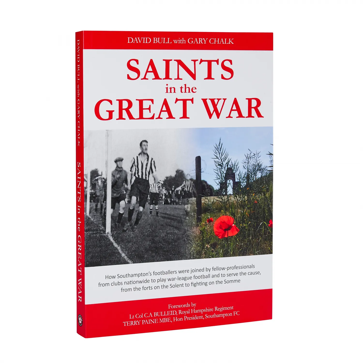 Saints in the great war book